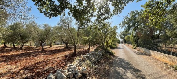 Дом с 6 комнатами в Каровиньо, Италия № 151823 19