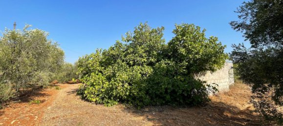 Дом с 6 комнатами в Каровиньо, Италия № 151823 2