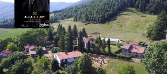 30 chambres Villa à Pieve Santo Stefano, Italy No. 732 5