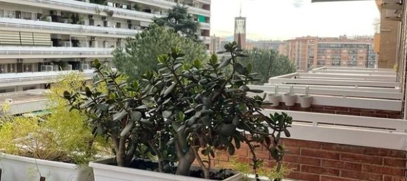 Квартира с 3 комнатами в Рим, Италия № 144028 20