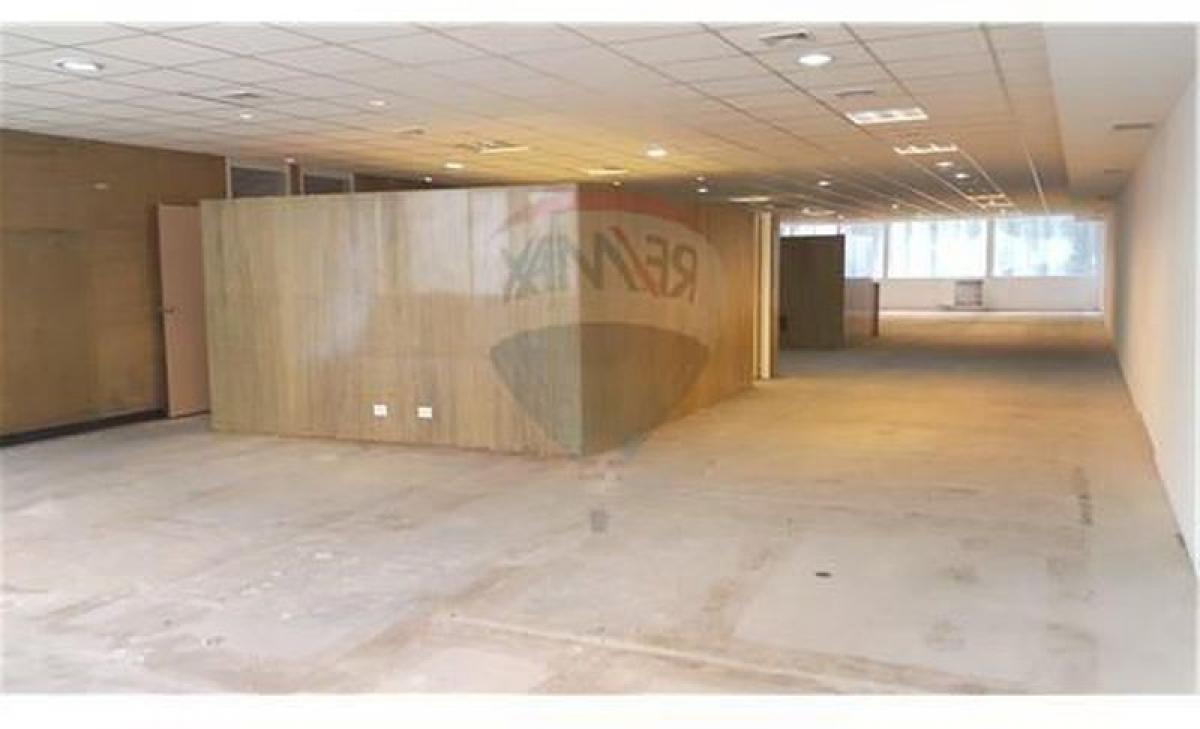 310m² Office in Buenos Aires, Argentina No. 106276