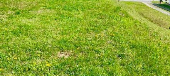  Land in Eibiswald, Austria No. 25462 4