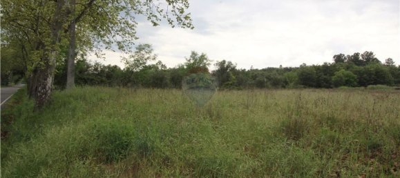 8970m² Land in Inguias, Portugal No. 67921 12