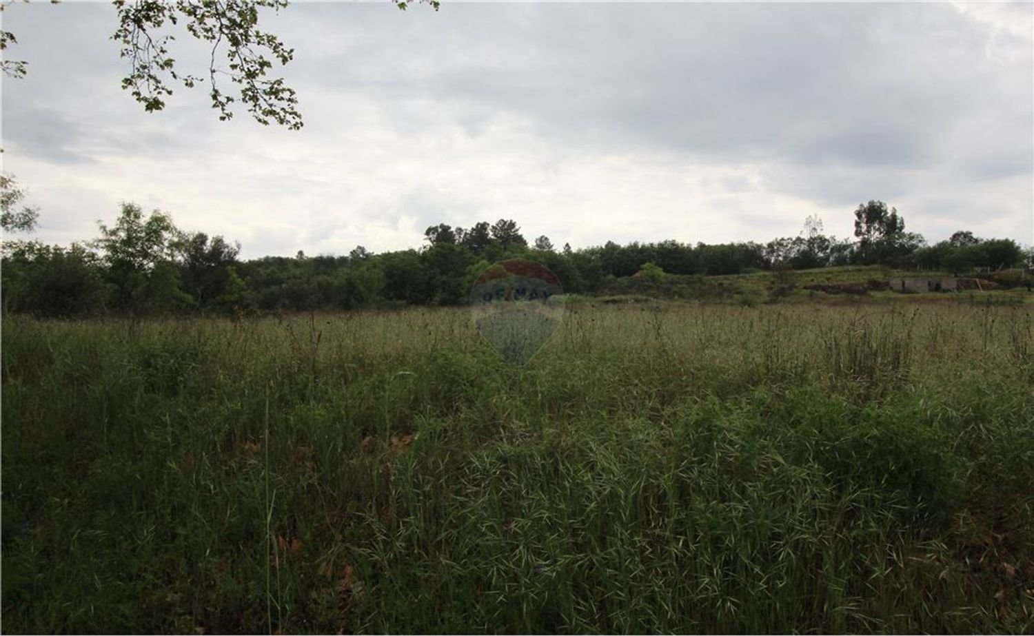 8970m² Land in Inguias, Portugal No. 67921