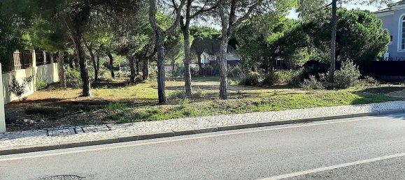 356m² Land in Almancil, Portugal No. 57803 13