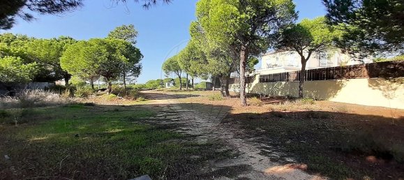 356m² Land in Almancil, Portugal No. 57803 10