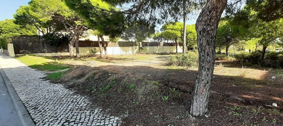 356m² Land in Almancil, Portugal No. 57803 5