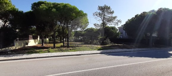 356m² Land in Almancil, Portugal No. 57803 9