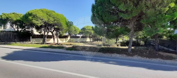 356m² Land in Almancil, Portugal No. 57803 2