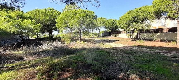 356m² Land in Almancil, Portugal No. 57803 11