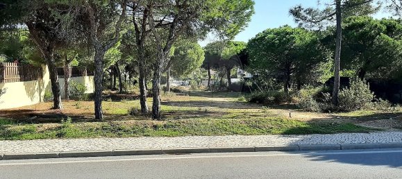 356m² Land in Almancil, Portugal No. 57803 12