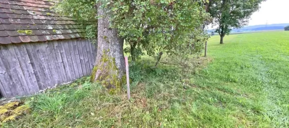 Земельный участок в Восточный Алльгой, Германия № 289111 10