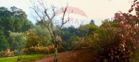 3 bedrooms House in Seia, Portugal No. 184387 35