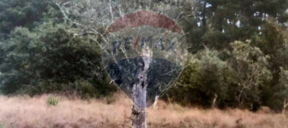 3 bedrooms House in Seia, Portugal No. 184387 44