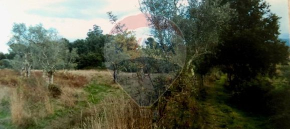 3 bedrooms House in Seia, Portugal No. 184387 32