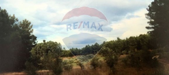 3 bedrooms House in Seia, Portugal No. 184387 10