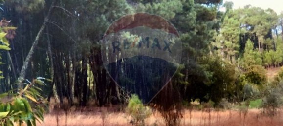 3 bedrooms House in Seia, Portugal No. 184387 22