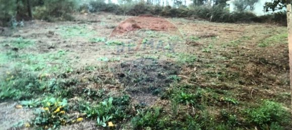 3 bedrooms House in Seia, Portugal No. 184387 4