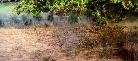 3 bedrooms House in Seia, Portugal No. 184387 40