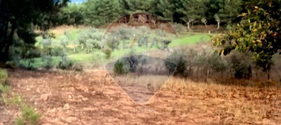 3 bedrooms House in Seia, Portugal No. 184387 8