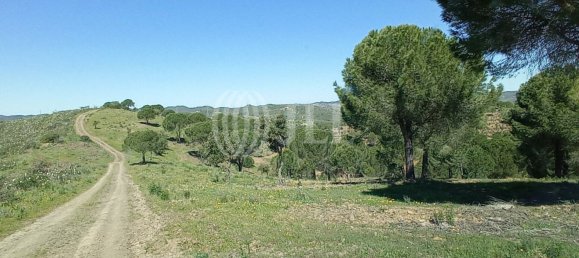 19 غرف نوم قلاع في Sao Bartolomeu de Messines, Portugal رقم 10252 4