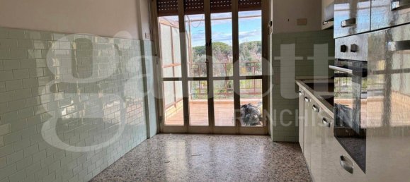 1 Schlafzimmer Wohnung in Marino, Italy, Nr. 333199 18