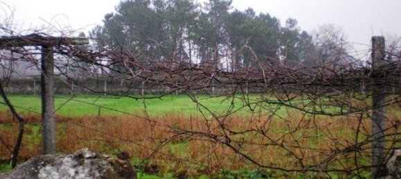Terreno en Viana do Castelo, Portugal No. 67039 6