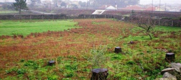 Terreno en Viana do Castelo, Portugal No. 67039 7