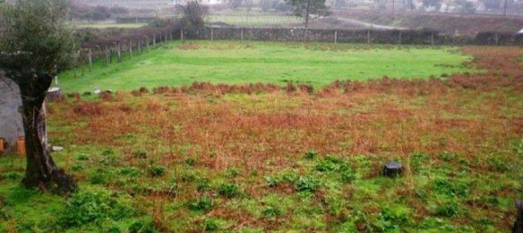 Terreno en Viana do Castelo, Portugal No. 67039 16