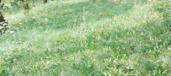 Grundstück in Tregnago, Italy 9250m², Nr. 169698 5