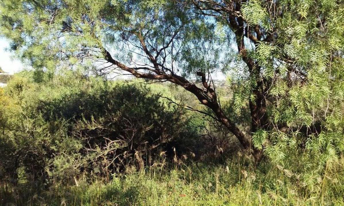 Земельный участок в Кордоба, Аргентина № 41347