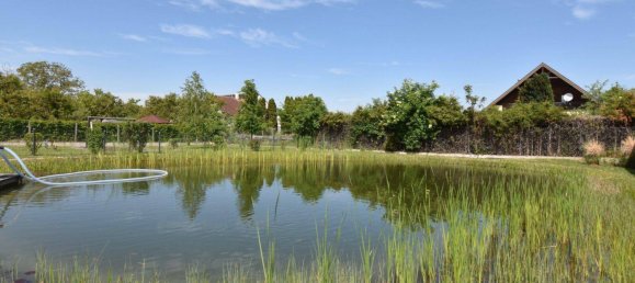 2-salle Appartement à Krems an der Donau, Austria No. 183330 18