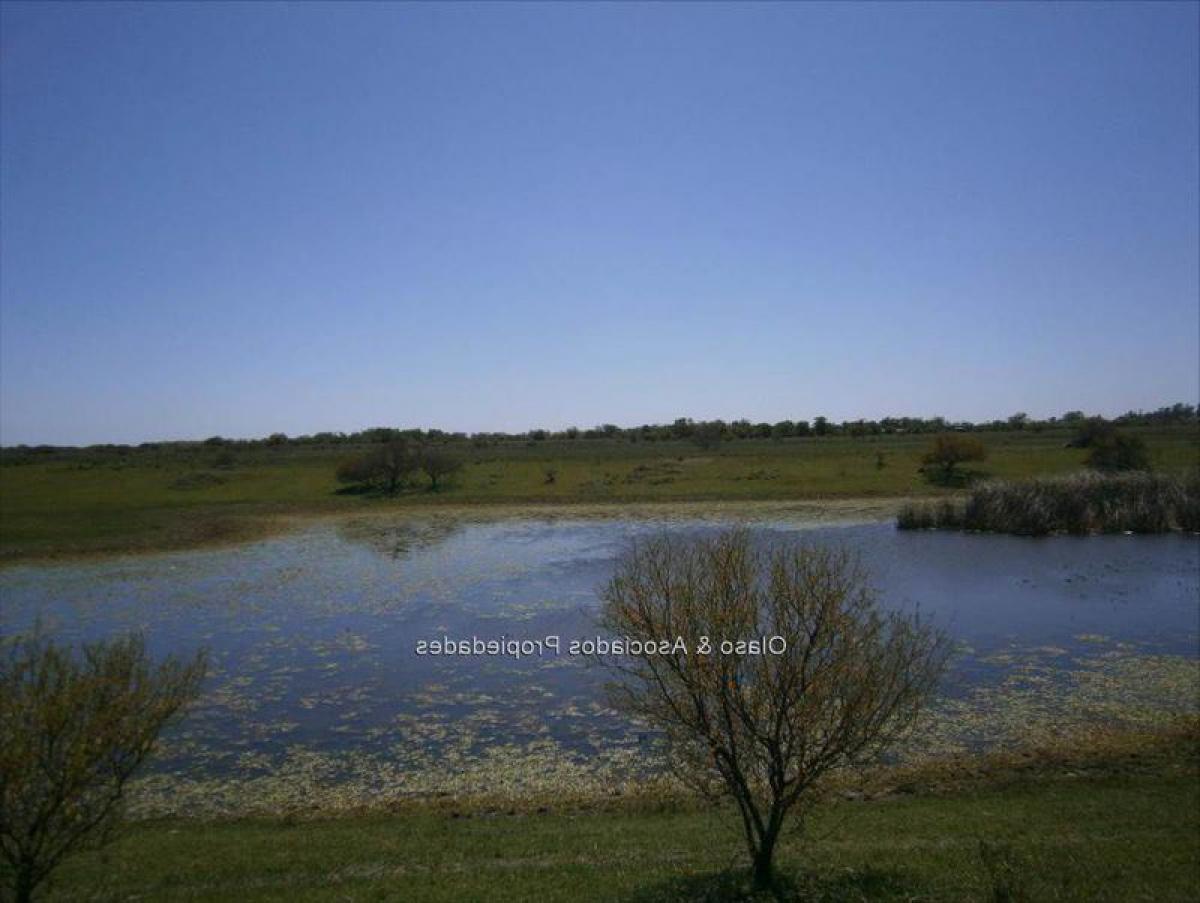3 غرف نوم منزل في Canelones, Uruguay رقم 11761