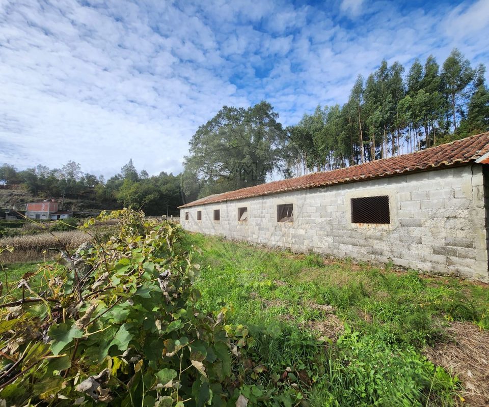 147m² Warehouse in Oliveira de Frades, Portugal No. 91746