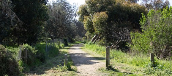 2 bedrooms House in Coronet Bay, Australia No. 286 19