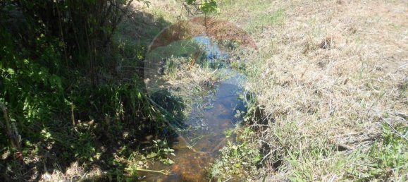 3 bedrooms House in Abrantes, Portugal No. 26316 8