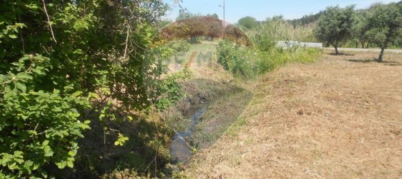 3 bedrooms House in Abrantes, Portugal No. 26316 7