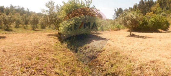 3 bedrooms House in Abrantes, Portugal No. 26316 3