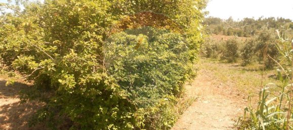 3 bedrooms House in Abrantes, Portugal No. 26316 10