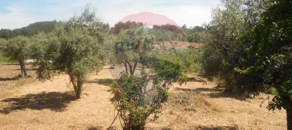 3 bedrooms House in Abrantes, Portugal No. 26316 13