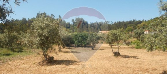 3 bedrooms House in Abrantes, Portugal No. 26316 6