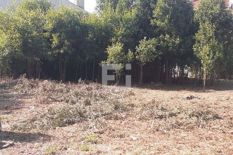 Terrain à Vila Nova de Gaia, Portugal No. 247768