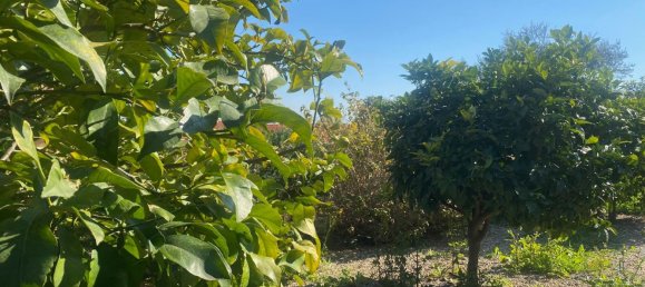 2-Zimmer Wohnung in Imperia, Italy, Nr. 170015 7