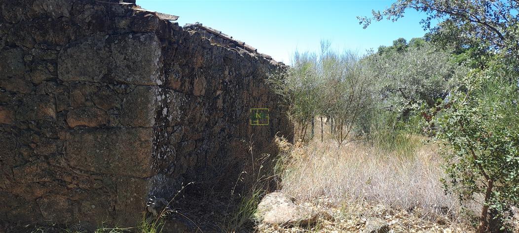 8000m² Land in Sao Miguel de Acha, Portugal No. 299050