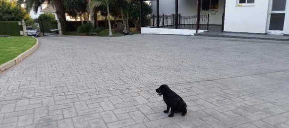 5 bedrooms Commercial property in Pentakomo, Cyprus No. 20135 11