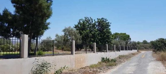 5 bedrooms Commercial property in Pentakomo, Cyprus No. 20135 3