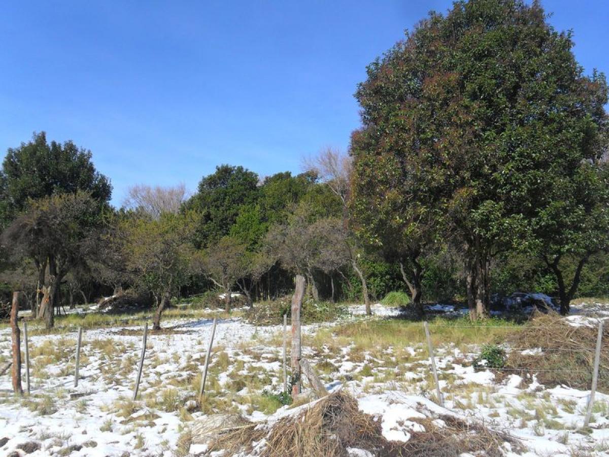 Земельный участок в Сан-Луис, Аргентина № 46632