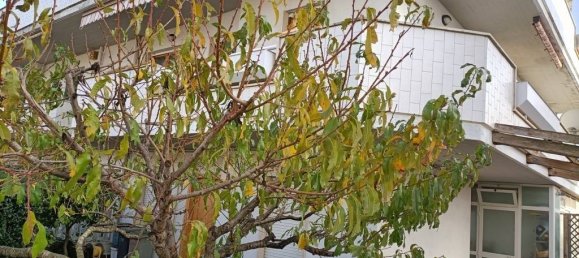 1 غرف نوم شقة في Nettuno, Italy رقم 141768 3