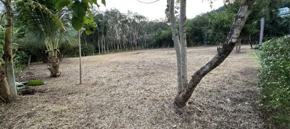 2 chambres Café / restaurant à Pattaya, Thailand No. 77954 3