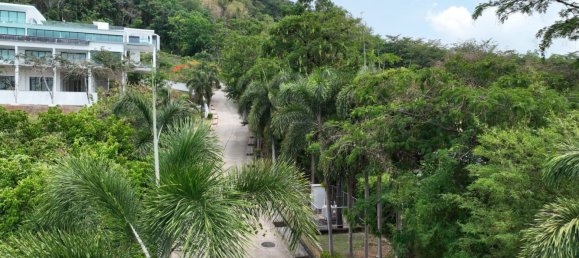 2 chambres Café / restaurant à Pattaya, Thailand No. 77954 11